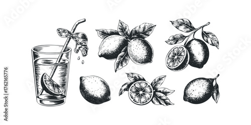 Glass of Lemonade with Fresh Lemons and Leaves