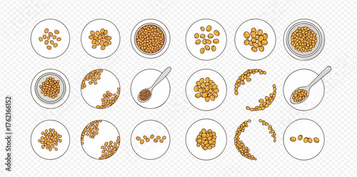 Various plates with seeds arranged in different quantities and patterns.