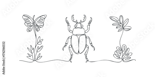 Stag beetle and butterfly one line drawing