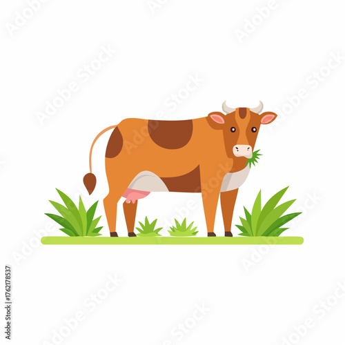 Illustration of a brown and white cow standing in a field of green grass eating a stalk of grass, with a white background