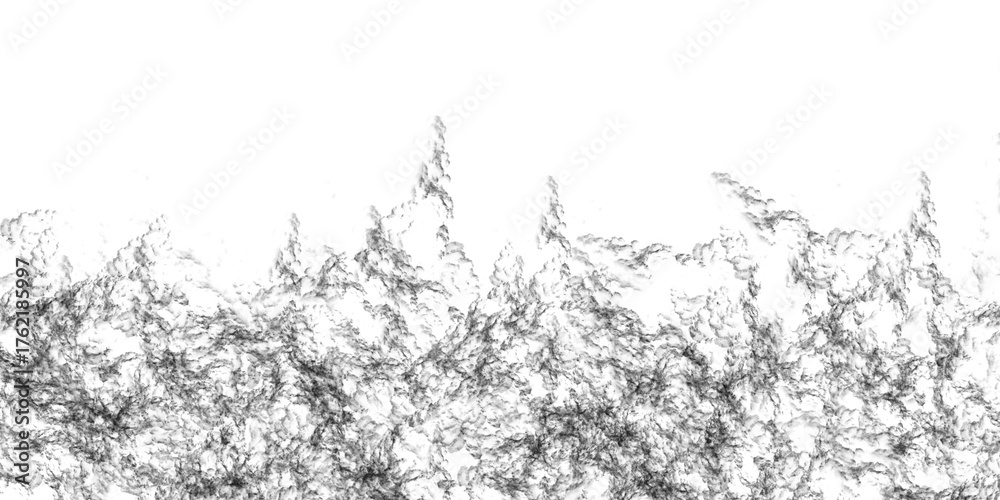Fototapeta premium Abstract black and white organic wispy lines forming a textured border against a clean transparent background, suggesting natural elements