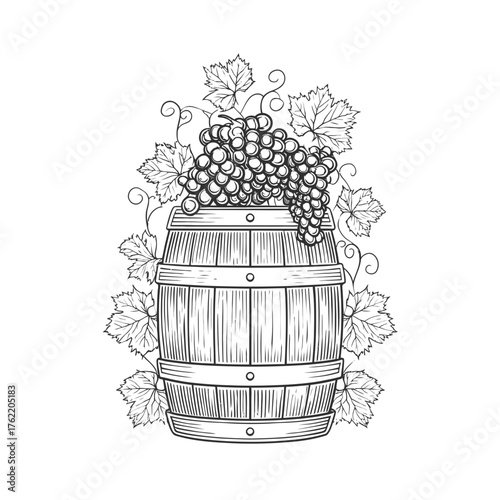 Hand-drawn vintage style illustration of a rustic wooden wine barrel adorned with a lush bunch of grapes and flowing vine leaves, monochrome line art for winery designs.