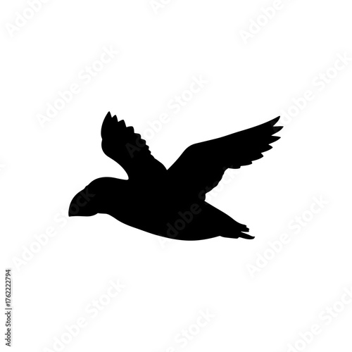 Flying puffin silhouette vector flat illustration design.