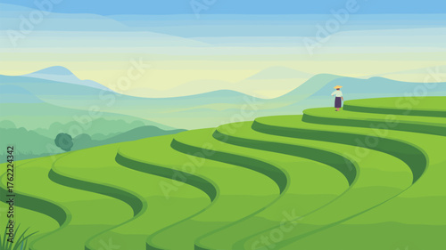 Green Rice Terraces with Person Standing