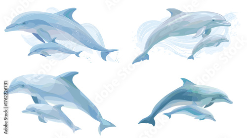 Elegant dolphin and calf swimming in soft blue tones. Vector ocean wildlife illustration representing family, freedom, and harmony in marine life. Ideal for eco and nature themes.