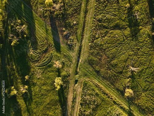 a clearing from above in summer