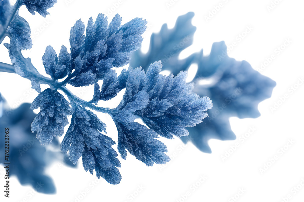 Naklejka premium Intricate frozen foliage shapes with ice crystal details for winter design