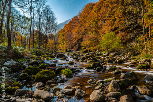 I fantastici colori dell’autunno nei boschi della meravigliosa Valle Pesio