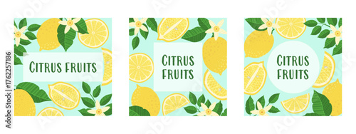 Three vibrant, square-shaped illustrations featuring citrus fruits, leaves, and slices, with a text placeholder. Ideal for banners, brochures, flyers, covers, cards, invitations, and other designs.
