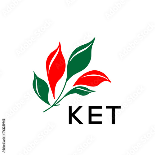 Modern Abstract Leaf Logo Design – KET Later Logo, Red and Green Nature-Inspired Brand Icon
