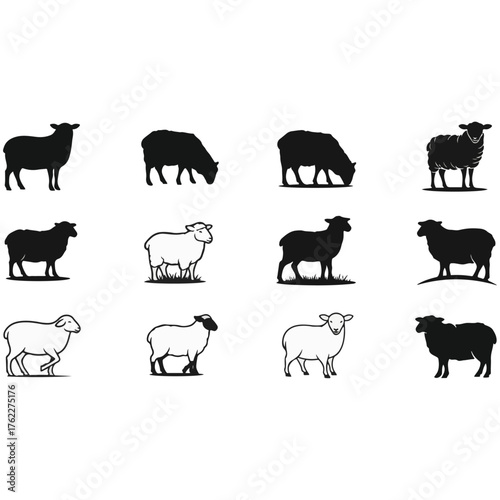 Sheep Silhouettes and Outlines Vector Bundle: Set of 12 Farm Lamb Graphics for Wool Industry Logos, Livestock Themes, Meat Production, and Agricultural Design Projects