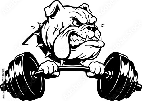 Strong bulldog head lifting heavy weight barbell vector silhouette illustration isolated on white background 