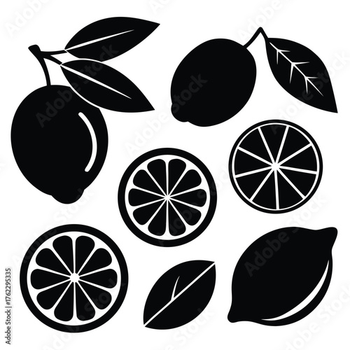 Adobe IllustratoCitrus Fruits and Leaves Silhouette Setr Artwork