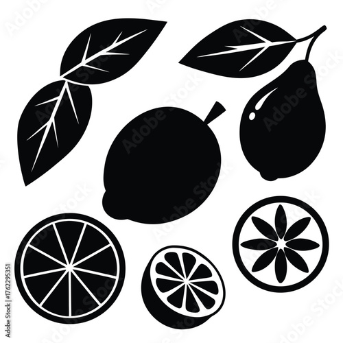 Adobe IllustratoCitrus Fruits and Leaves Silhouette Setr Artwork