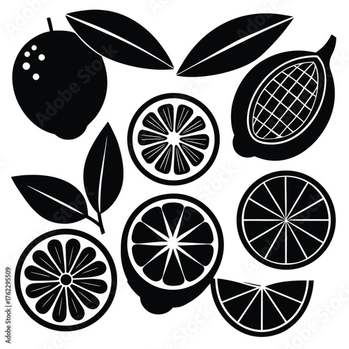 Adobe IllustratoCitrus Fruits and Leaves Silhouette Setr Artwork
