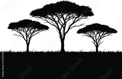 Vector art of silhouette of three acacia trees in the savanna with grass