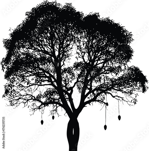 Vector art of silhouette of a large mango tree with hanging fruit