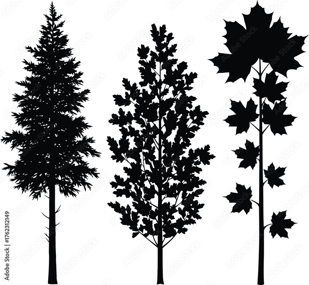 Fototapeta premium Vector art of three different tree silhouettes