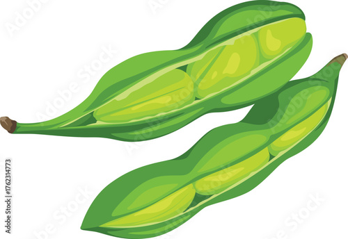 Two green pea pods, one split open revealing the peas inside, isolated on white.