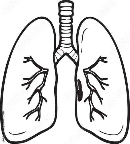 Hand-drawn human lung anatomy sketch with trachea, bronchi, and shaded area for medical, educational, and diagnostic use