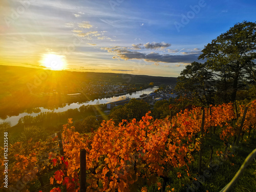 Herbst im Weinberg von Erlenbach am Main in Unterfranken in Bayern in Deutschland