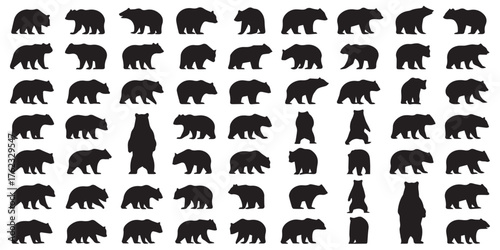 Collection of various bear silhouettes in multiple poses and styles vector