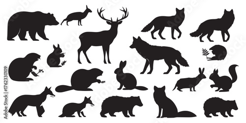 Collection of diverse wildlife animal silhouettes set vector