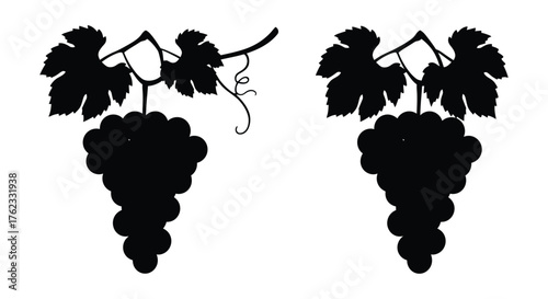 Black silhouette illustration depicting two bunches of grapes with leaves