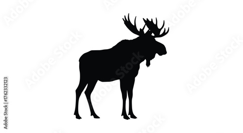 A striking silhouette of a majestic moose standing in profile view