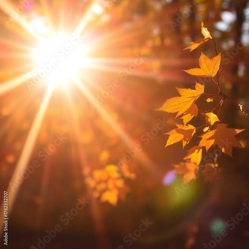 Golden sunlight streams through vibrant autumn leaves, creating a stunning seasonal backdrop and warm, inviting atmosphere perfect for fall promotions