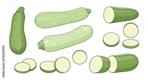 Fresh zucchini vegetables illustration isolated on white background.
