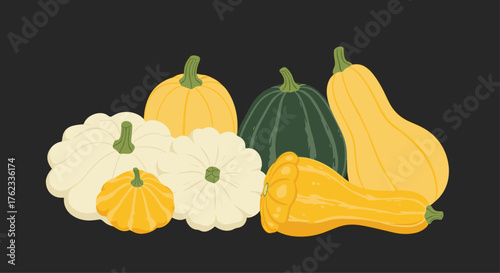 Colorful assortment of various pumpkins and gourds on dark background.