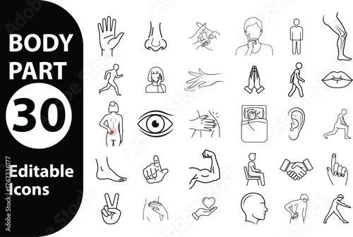 Collection of 30 editable hand drawn line art icons representing various human body parts and anatomy