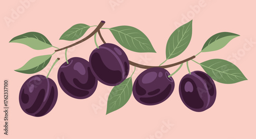 Fresh Plums on a Branch with Green Leaves.