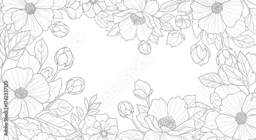 Elegant Hand-Drawn Floral Outline Background with Delicate Anemone Flowers and Buds.