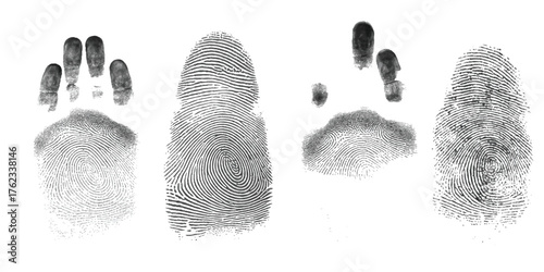 Detailed black and white hand and fingerprint impressions showcasing unique ridge patterns vector