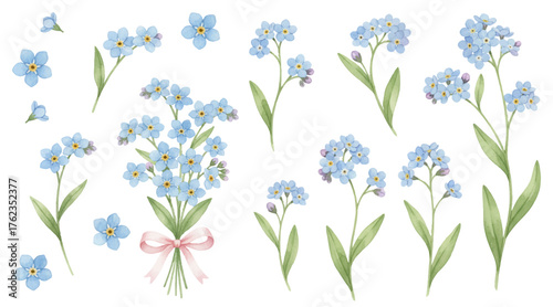 Myosotis blue flowers, forget-me-nots or scorpion grasses frame for text. Forget-me-not myosotis flowers vector collection for holiday card,  Easter design. Memorial symbols. Blue tiny blossom
