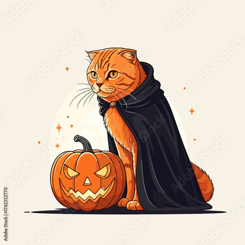 Halloween black-cloak cat with jack-o’-lantern, cute vector