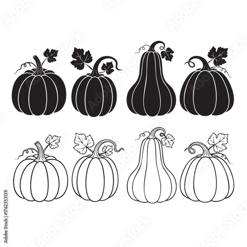 Black and white illustrations of various pumpkins with leaves and vines silhouette outline