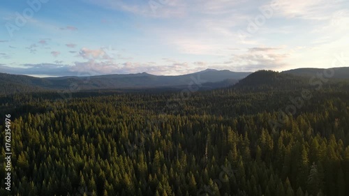 Wallpaper Mural Flying over a mountainside forest in Southern Oregon at dawn Torontodigital.ca