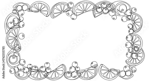 Cranberry and Orange Slice Frame Border, Festive Decorative Design Element