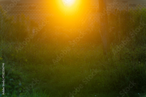Sunlight shining through grassy field with metal fence in warm natural setting. Sunlight illuminating green grass and chain fence in rural landscape symbol of nature boundaries and peaceful atmosphere