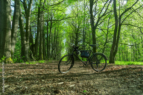 Vintage bicycle parked on a forest trail surrounded by trees. Old style bicycle resting on a sunlit woodland path symbolizing outdoor adventure and eco friendly travel.