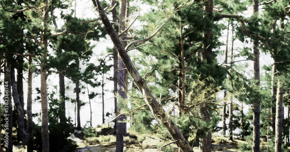 Naklejka premium Sunlight filters through lush green trees in a tranquil forest, revealing a peaceful shoreline in the background. The atmosphere is calming and natural, inviting relaxation.