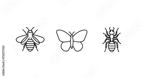 Simple line art illustrations of a bee, butterfly, and ant on a white background.
