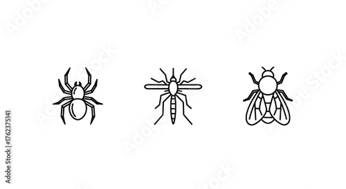 Simple line icons of a spider, mosquito, and fly on a white background