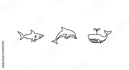 Playful marine life collection: a shark, a leaping dolphin, and a whimsical whale.