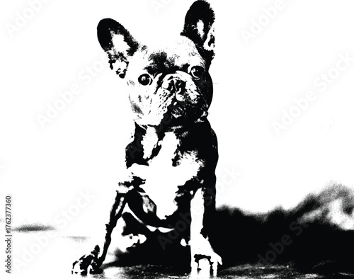 Realistic French Bulldog Puppy Vector Illustration – Black and White Detailed Dog Portrait with Perky Ears and Front Paws, Sitting Pose Line Art for Pet Designs, Logos, or Graphic Projects
