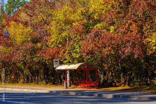 a red bus stop among colorful trees