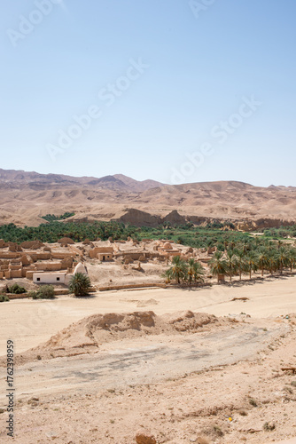  Old Tamerza ruins and palm grove, in Tunisia